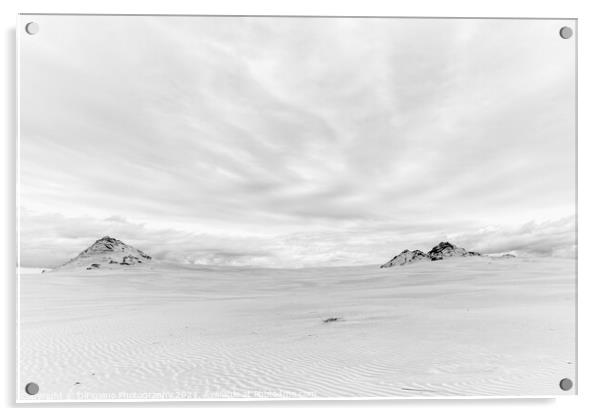 Slowinski Sand Dunes Acrylic by DiFigiano Photography
