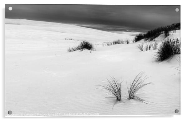 White Sands of Leba Acrylic by DiFigiano Photography