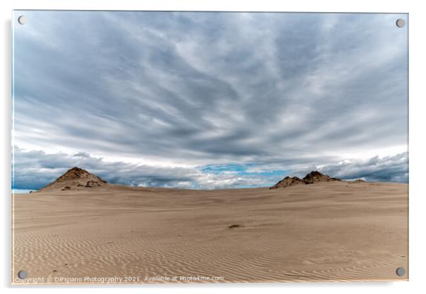 The Dunes At Slowinski Acrylic by DiFigiano Photography