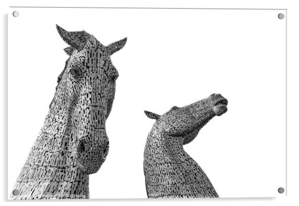 The Kelpies 2 Acrylic by DiFigiano Photography