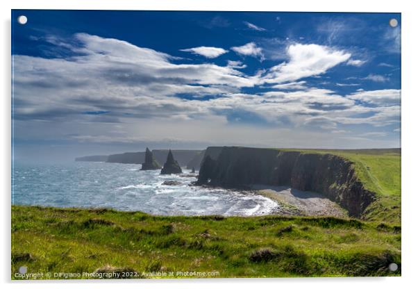 Duncansby Sea Stacks Acrylic by DiFigiano Photography