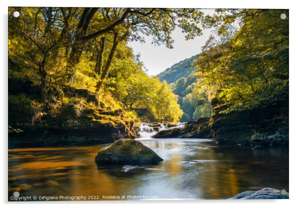 Watersmeet Acrylic by DiFigiano Photography