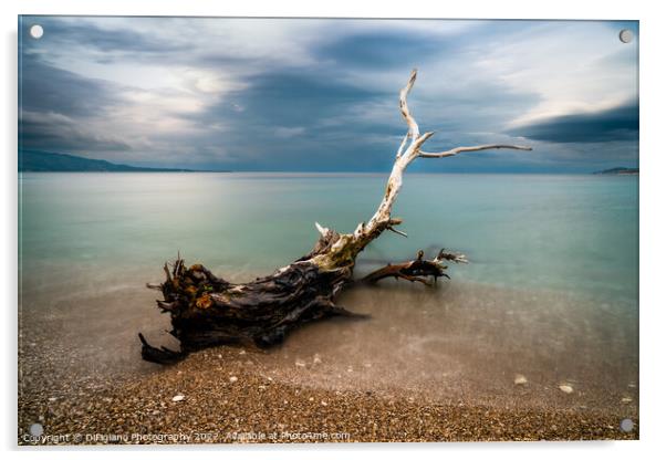 Sarande Driftwood Acrylic by DiFigiano Photography