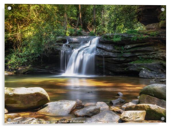 Carrick Creek Falls Acrylic by DiFigiano Photography