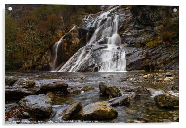 Cascata delle Sponde Acrylic by DiFigiano Photography