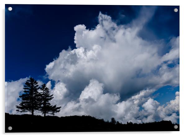 Two Weather The Storm Acrylic by DiFigiano Photography