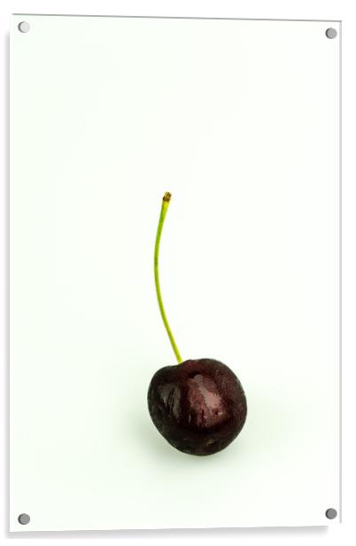 Black Cherry Acrylic by DiFigiano Photography