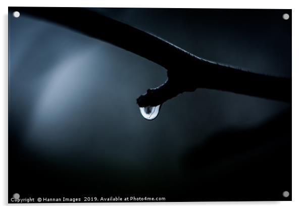 Rain Drop in the darkness Acrylic by Hannan Images