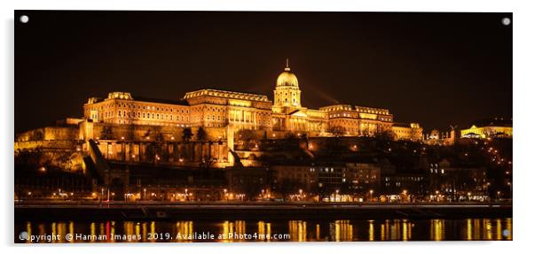 Budapest Castle Acrylic by Hannan Images