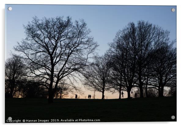 Sundown on the hill Acrylic by Hannan Images
