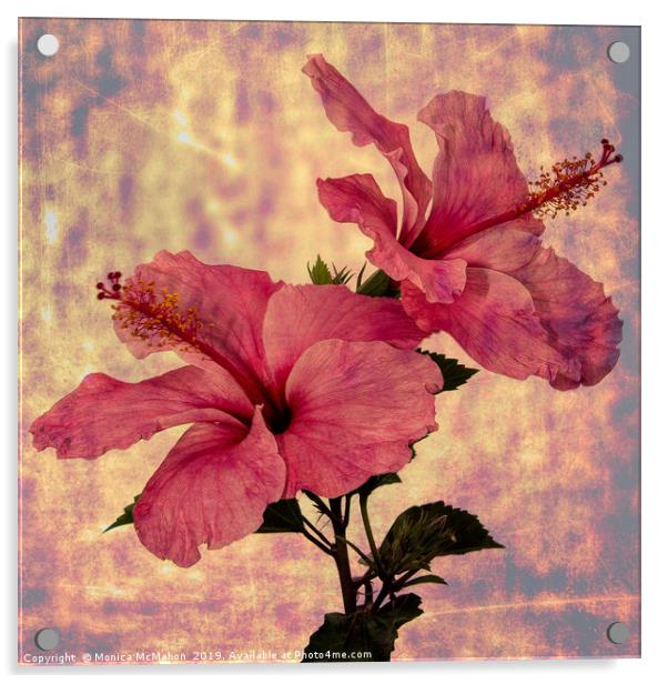 Hibiscus Flower Duo, Art form Acrylic by Monica McMahon