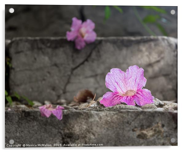 Pink Trumpet Vine Flower Fallen Beauty. Acrylic by Monica McMahon