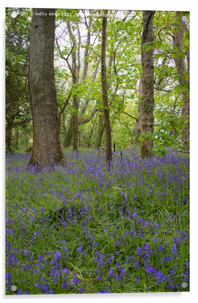 English Bluebell Wood, Cornwall,Bluebells in the W Acrylic by kathy white
