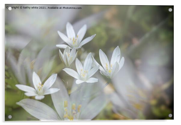 Wood Anemone ,Wildflowers, woodland anenome Acrylic by kathy white