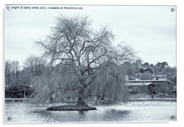 winter Willow tree, Helston Cornwall boating lake Acrylic by kathy white