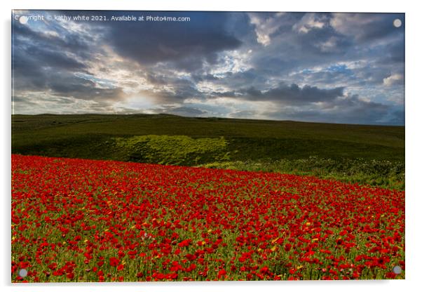 A field of red poppies Acrylic by kathy white