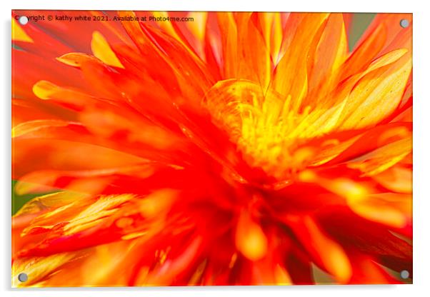 Dahlia flower fire with in Acrylic by kathy white