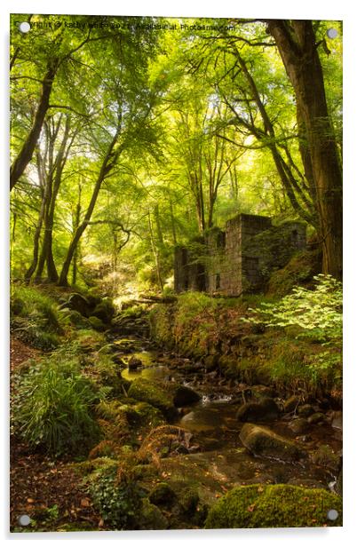 kennall vale woods Acrylic by kathy white