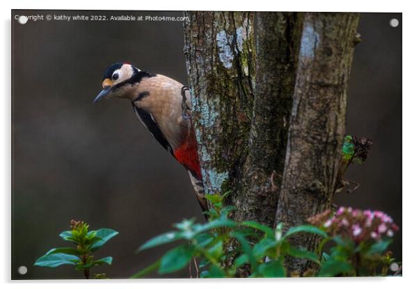 Great spotted woodpecker  Acrylic by kathy white