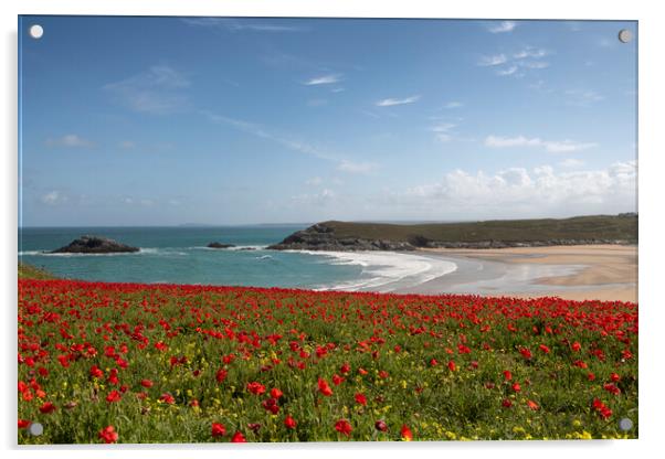Red poppies, West Pentire  Cornwall Acrylic by kathy white