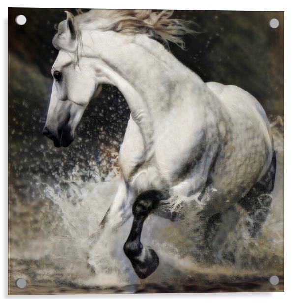 Galloping Grace: Equine Dream Acrylic by kathy white