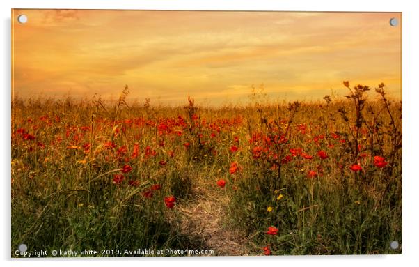 red poppies,Sunset on a field of poppies in cornwa Acrylic by kathy white