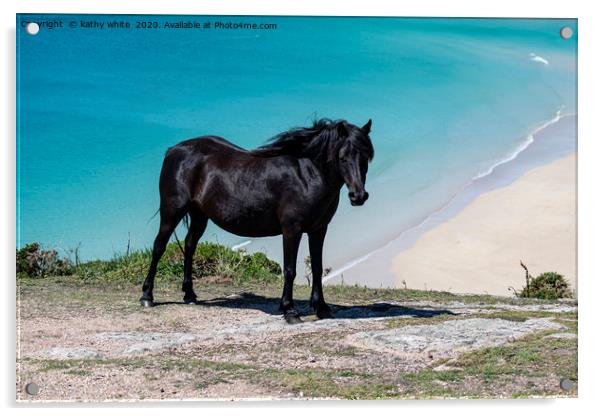 Majestic Black Horse Galloping on Cornwalls Wild P Acrylic by kathy white