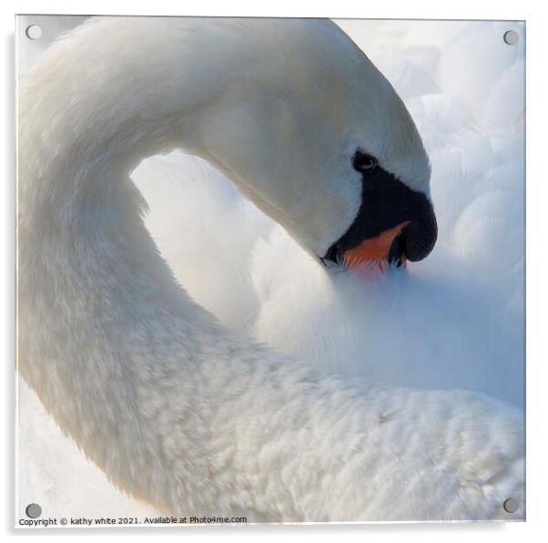 Swan eyes look at me,swan  Acrylic by kathy white
