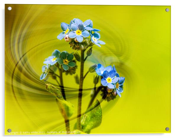  forgetmenot,blue flower,Forget Me Nots, windswept Acrylic by kathy white