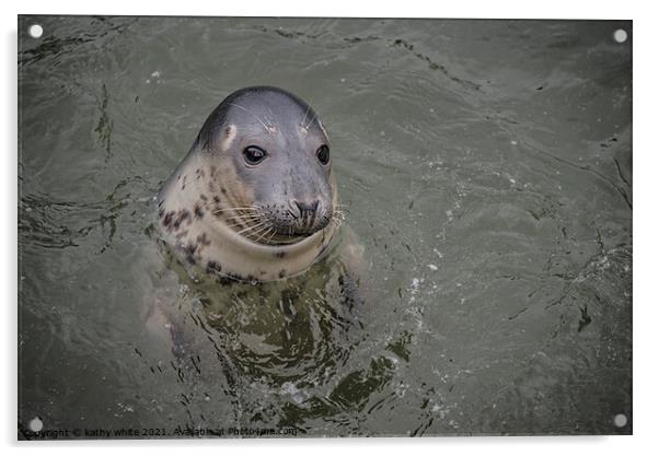 Cornish seal swiming free,Cornish seals , Acrylic by kathy white