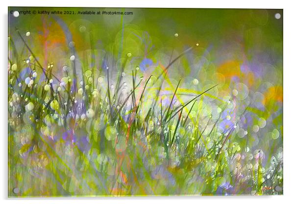 Mystic Morning Meadow Acrylic by kathy white