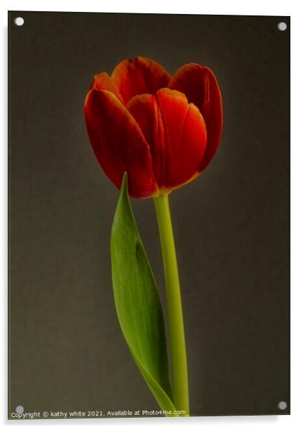 tulip,beautiful Red Tulip Flower Acrylic by kathy white
