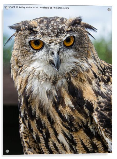 Majestic Eurasian Eagle Owl Acrylic by kathy white