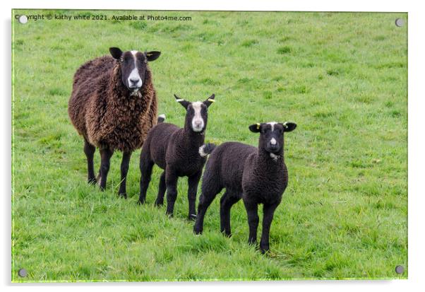 black sheep with two black lambs  Acrylic by kathy white