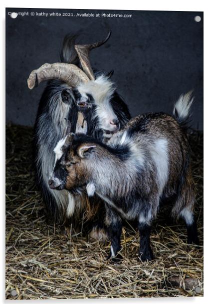Two beautiful goats Acrylic by kathy white
