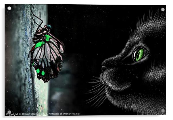 The Cat and the Butterfly Acrylic by Lrd Robert Barnes