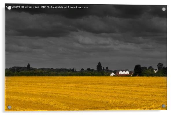 Stormy Hay field Acrylic by Clive Rees