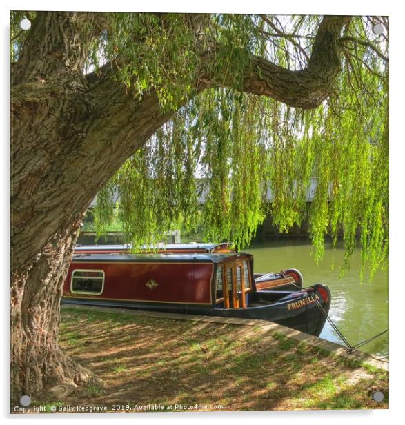       Boat                           Acrylic by Sally Redgrave