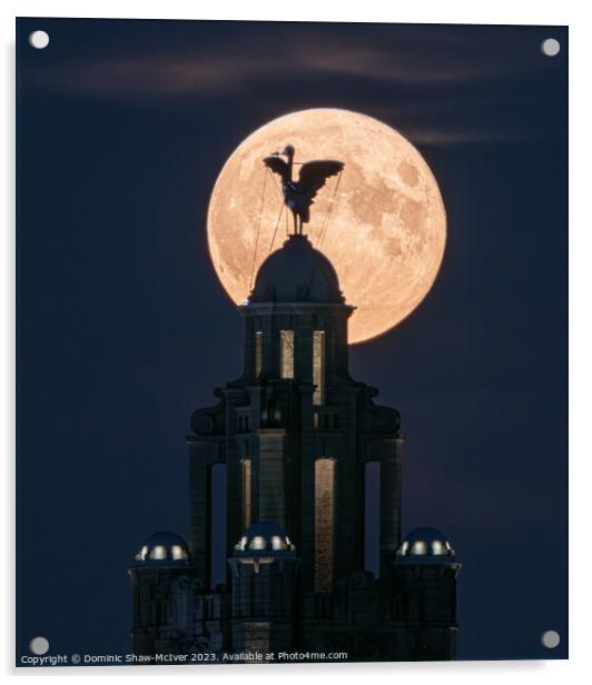 Liverbird Moonrise Acrylic by Dominic Shaw-McIver
