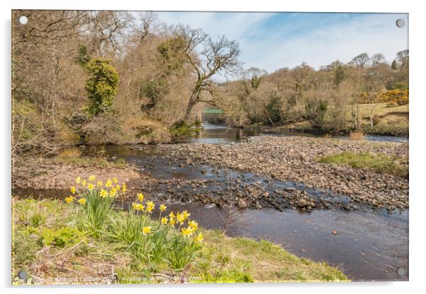 Balder Tees Confluence at Cotherstone, Teesdale (1) Acrylic by Richard Laidler