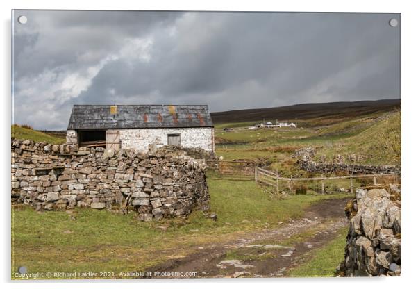 High Beck Head Farm, Ettersgill, Teesdale Acrylic by Richard Laidler