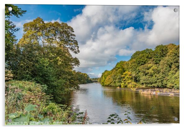 Early Autumn at Wycliffe Acrylic by Richard Laidler