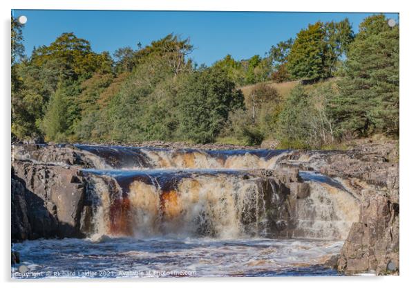 Low Force Waterfall, Teesdale in October Sunshine Acrylic by Richard Laidler