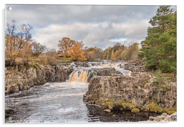 Autumn Brightness at Low Force Waterfall, Teesdale Acrylic by Richard Laidler