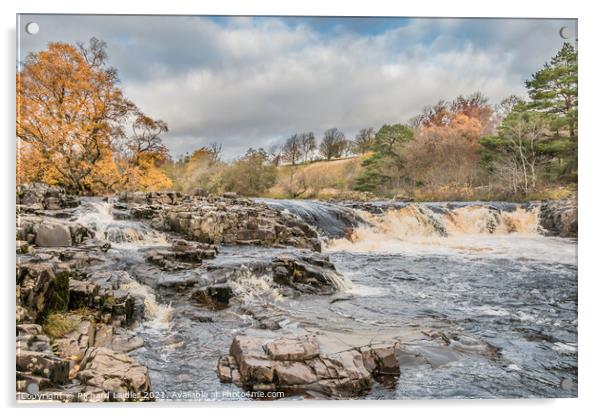 Autumn Brightness at Low Force Waterfall, Teesdale (2) Acrylic by Richard Laidler