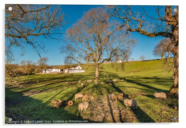 Friar House Farm, Ettersgill, Teesdale Acrylic by Richard Laidler