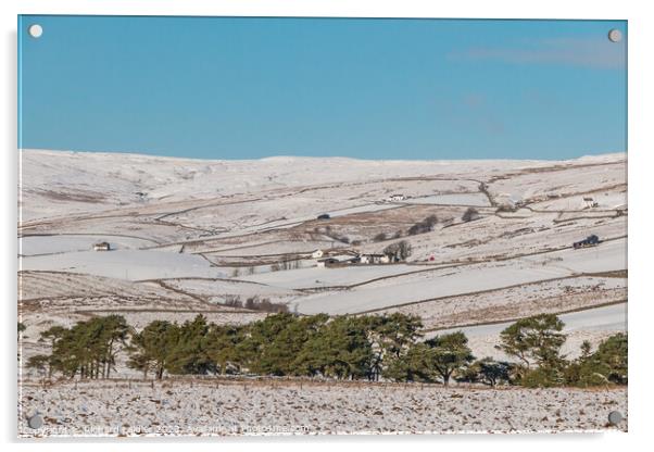 Towards Lingy Hill, Harwood in Snow Acrylic by Richard Laidler