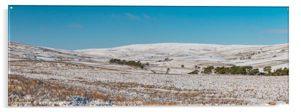 Harwood Winter Panorama Acrylic by Richard Laidler