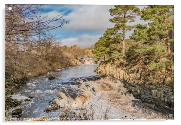 Low Force Waterfall, Teesdale, in Late Winter Sunshine Acrylic by Richard Laidler