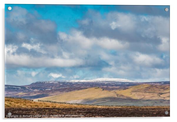 Cross Fell from Botany Farm, Teesdale Acrylic by Richard Laidler